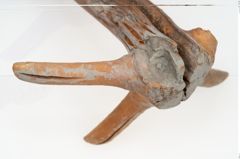 Foto von Holzquirl (NHMW-PRAE-003503)